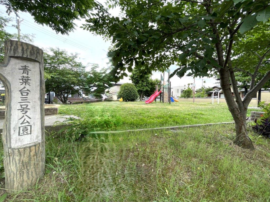 青葉台3号公園(周辺) 青葉台3号公園(周辺)