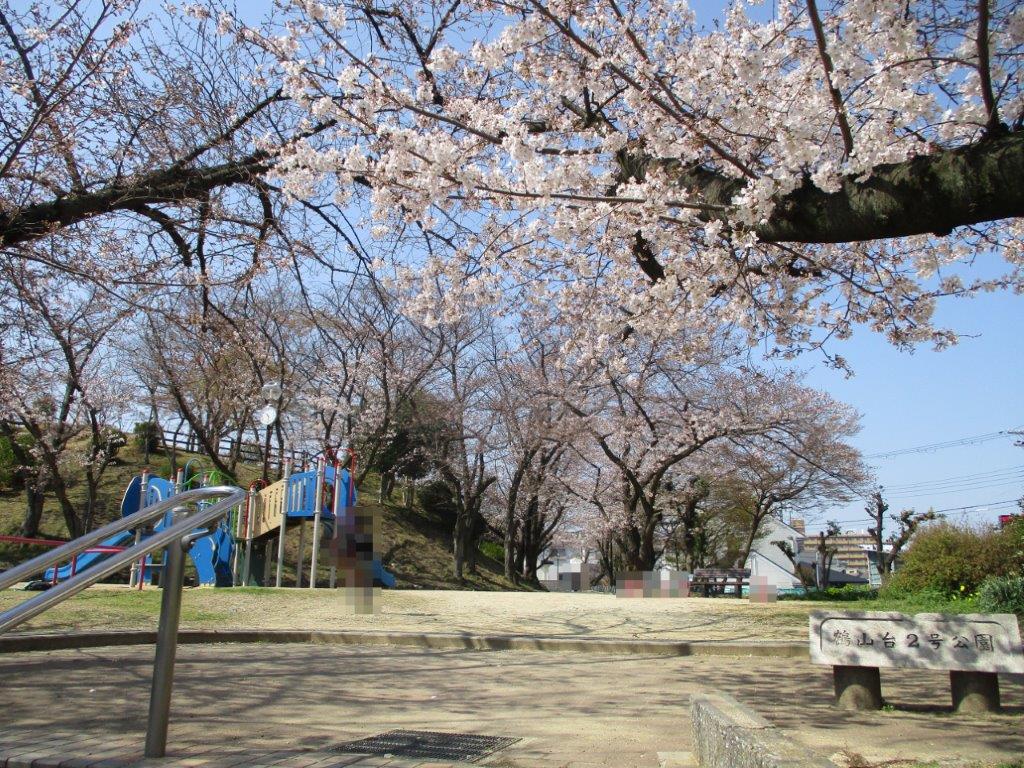鶴山台2号公園(周辺) 鶴山台2号公園(周辺)