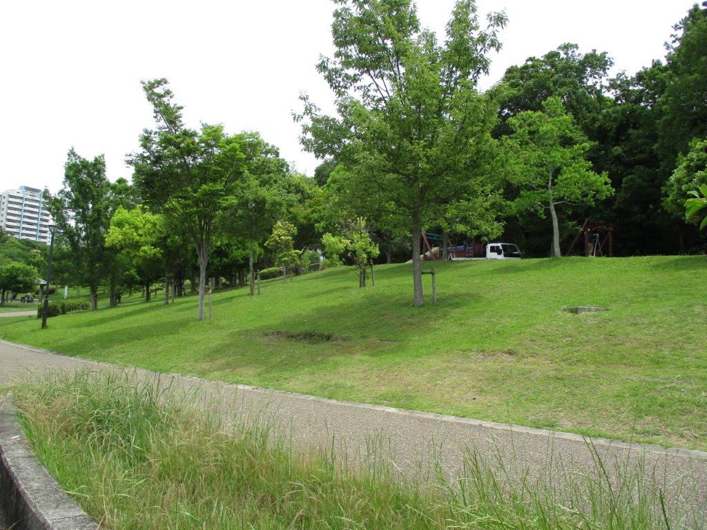 中央公園(周辺) 中央公園(周辺)