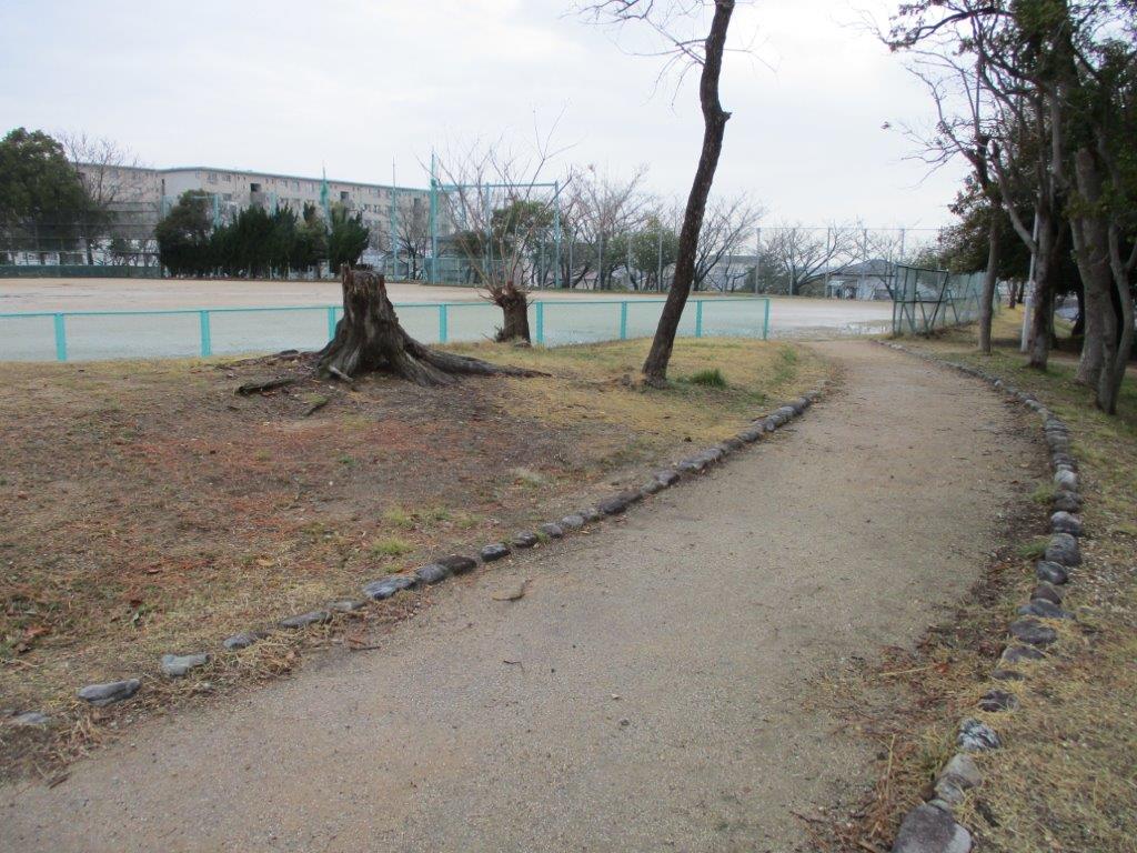 鶴山台西公園(周辺) 鶴山台西公園(周辺)