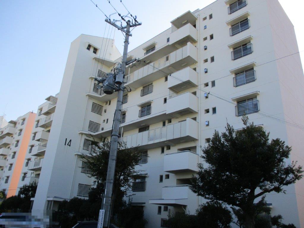 (外観) (外観)