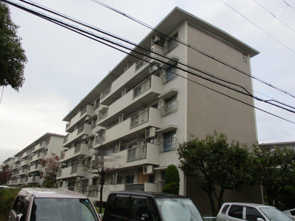 (外観) (外観)