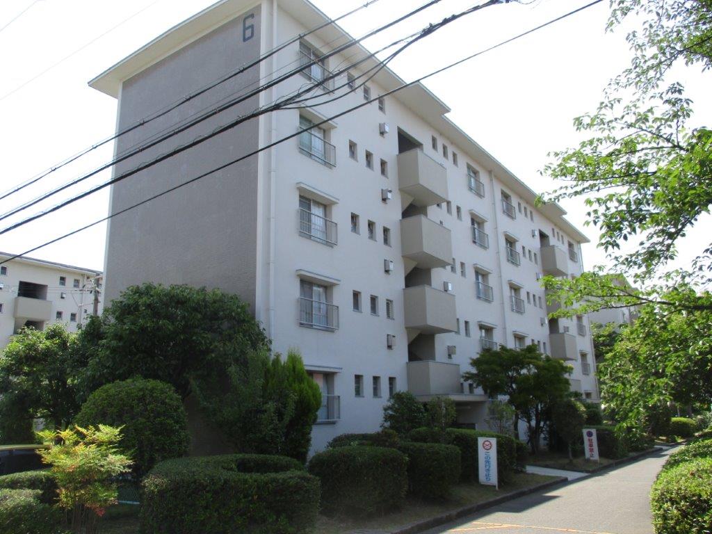 (外観) (外観)