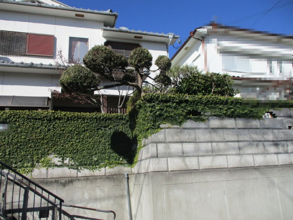 (外観) (外観)