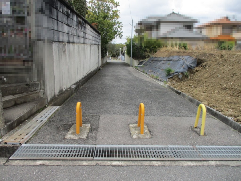 西側歩道(周辺) 西側歩道(周辺)