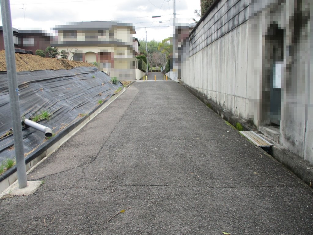 西側歩道(周辺) 西側歩道(周辺)