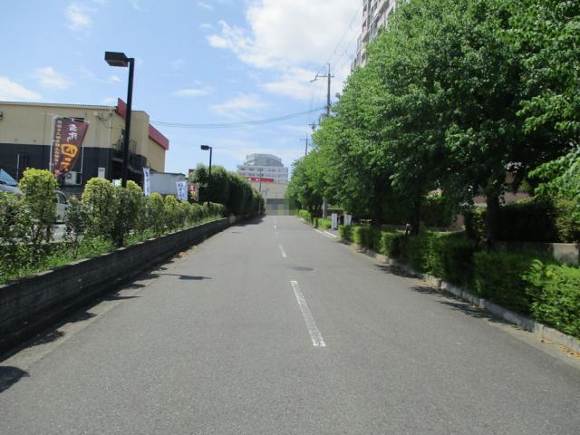 (周辺) (周辺)