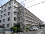 和泉市伯太町1丁目　和泉府中ハウスＡ棟　1階 798万円 3LDK  和泉市伯太町1丁目 ＪＲ阪和線和泉府中駅