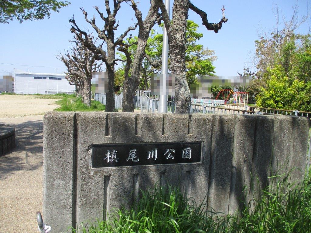 槇尾川公園(周辺) 槇尾川公園(周辺)